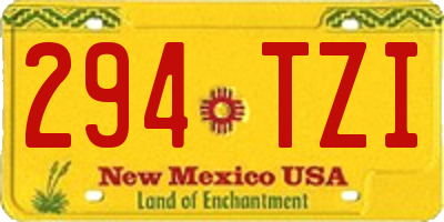 NM license plate 294TZI