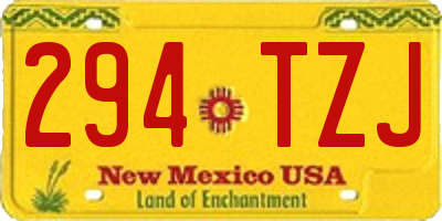 NM license plate 294TZJ