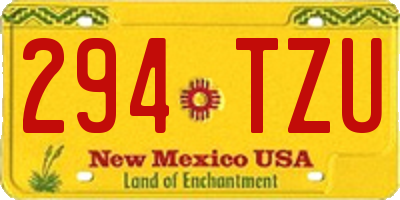 NM license plate 294TZU