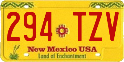 NM license plate 294TZV