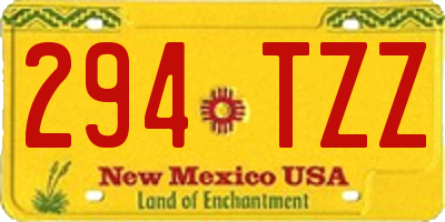 NM license plate 294TZZ