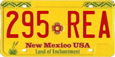 NM license plate 295REA