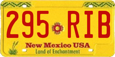 NM license plate 295RIB