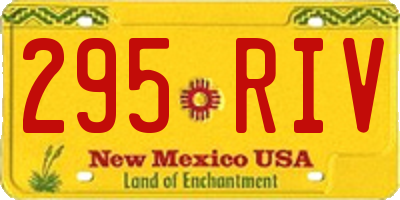 NM license plate 295RIV