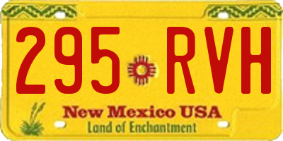 NM license plate 295RVH
