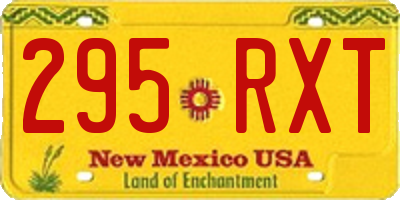 NM license plate 295RXT