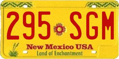NM license plate 295SGM