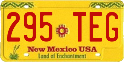 NM license plate 295TEG
