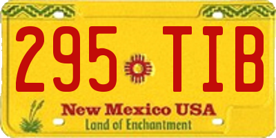 NM license plate 295TIB
