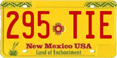 NM license plate 295TIE