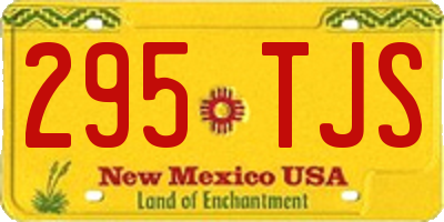 NM license plate 295TJS