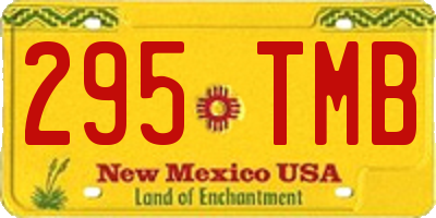 NM license plate 295TMB