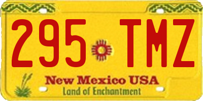 NM license plate 295TMZ