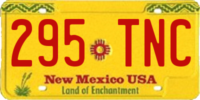 NM license plate 295TNC