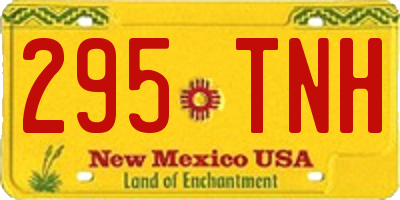 NM license plate 295TNH