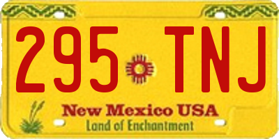 NM license plate 295TNJ