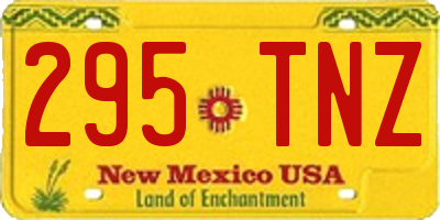 NM license plate 295TNZ