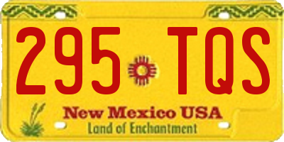 NM license plate 295TQS