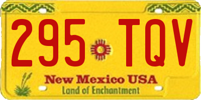NM license plate 295TQV