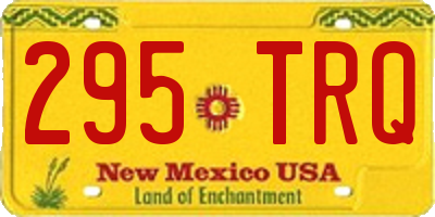 NM license plate 295TRQ