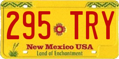 NM license plate 295TRY