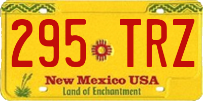 NM license plate 295TRZ