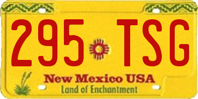 NM license plate 295TSG
