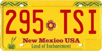 NM license plate 295TSI