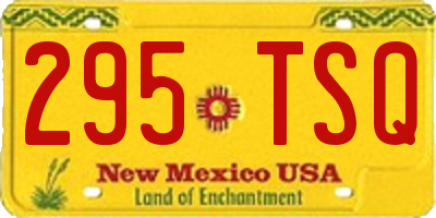 NM license plate 295TSQ