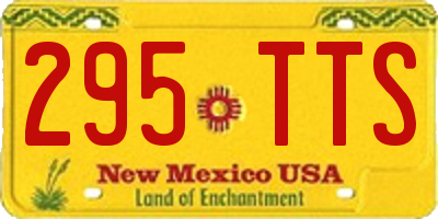 NM license plate 295TTS