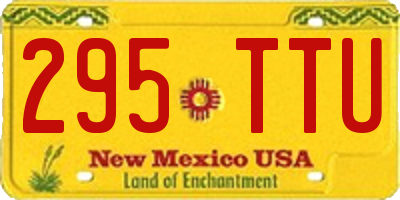 NM license plate 295TTU