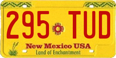 NM license plate 295TUD