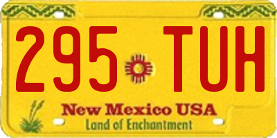 NM license plate 295TUH
