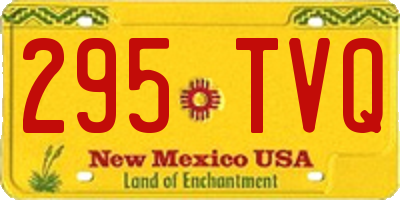 NM license plate 295TVQ