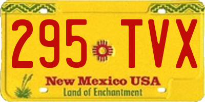 NM license plate 295TVX