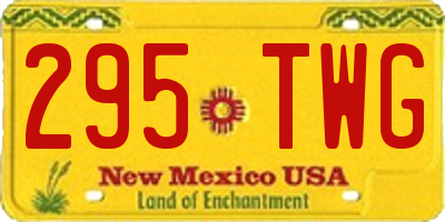 NM license plate 295TWG