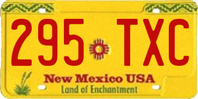 NM license plate 295TXC