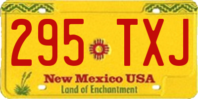 NM license plate 295TXJ