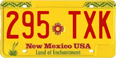 NM license plate 295TXK