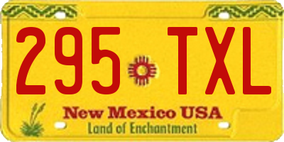 NM license plate 295TXL