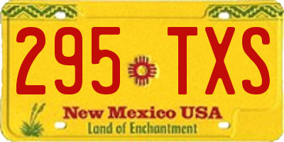 NM license plate 295TXS
