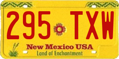 NM license plate 295TXW