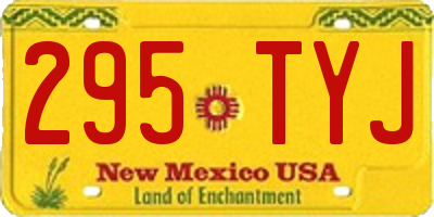 NM license plate 295TYJ