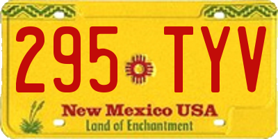NM license plate 295TYV