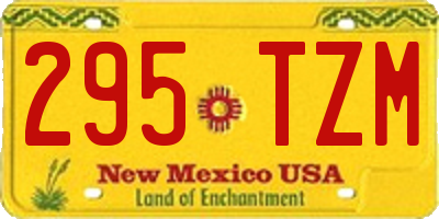 NM license plate 295TZM