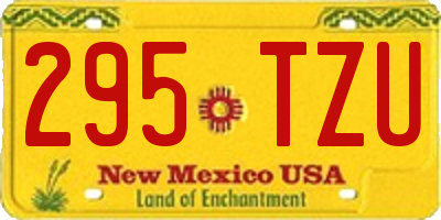 NM license plate 295TZU