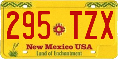 NM license plate 295TZX