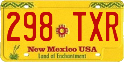 NM license plate 298TXR