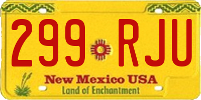 NM license plate 299RJU