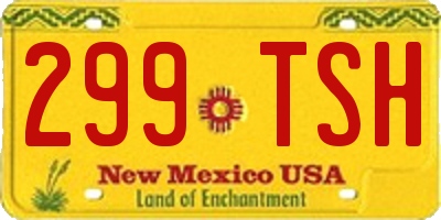 NM license plate 299TSH
